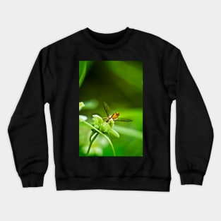 Bottoms Up Crewneck Sweatshirt